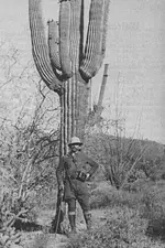 Walter Gassler 1935.webp