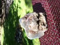 IMG_6283 (1).webp IMG_6283 (1).webp