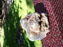 IMG_6283 (1).webp