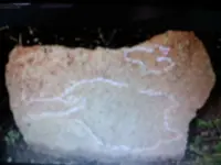 14623868873801211555769.webp