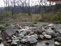 image.webp