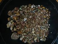 aDSCN1553.webp