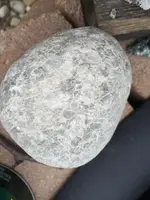 ImageUploadedByTreasureNet.com1462400082.464904.webp