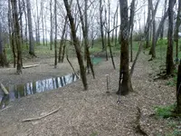 DSCN1941 (1024x768).webp