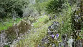 1461302879530.webp