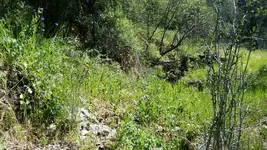 1461302921863.webp