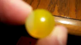 100_4412.webp