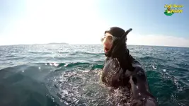 apnea3-fm.webp apnea3-fm.webp