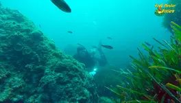 apnea6-fm.webp apnea6-fm.webp