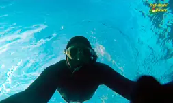 apnea7-fm.webp apnea7-fm.webp