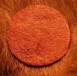 Copper2.webp