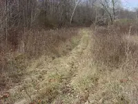 DSC03265.webp