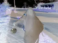 Cheyenne the Ghost.webp