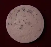 DSCN9395.webp