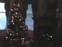 Picture 030.webp