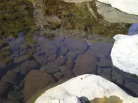 gold mining oct 07 019.webp