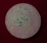 DSCN9295.webp