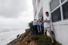 noel palm beach.webp