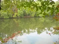 St Joseph River Below Bertrand Cem..webp