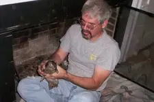 Wood duck hen 1.webp