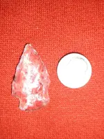 arrowhead2.webp