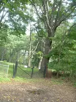 Madeline Cemetery.webp