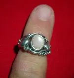 DSCN1159.webp