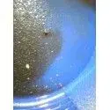 gold in pan 2.webp