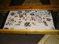 Table5.webp