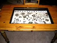 Table6.webp