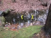 below spillway.webp