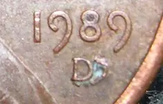 closeup.webp