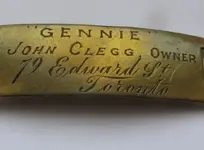 clegg dog collar close.webp