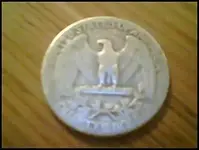 firstsilverback.webp