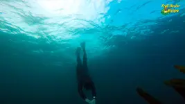 apnea8-fm.webp