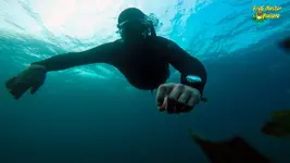 apnea9-fm.webp apnea9-fm.webp