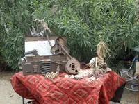 DSCN1590.webp