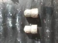 bullets.webp