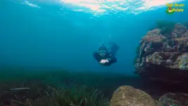 apnea11-2-fm.webp apnea11-2-fm.webp
