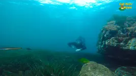 apnea11-fm.webp