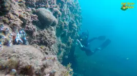 apnea12-fm.webp apnea12-fm.webp