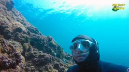 apnea13-fm.webp apnea13-fm.webp