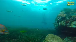 apnea17-fm.webp apnea17-fm.webp