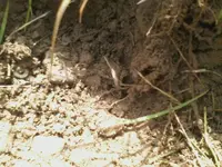 0504144334_02.webp