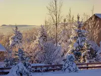 snow on 032416.webp