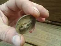 20160422_123028.webp