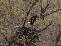 DSCN0576.webp