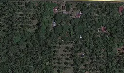 map.webp