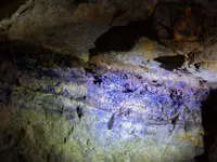 msha 0330163a.webp