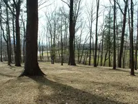 DSCF0007.webp